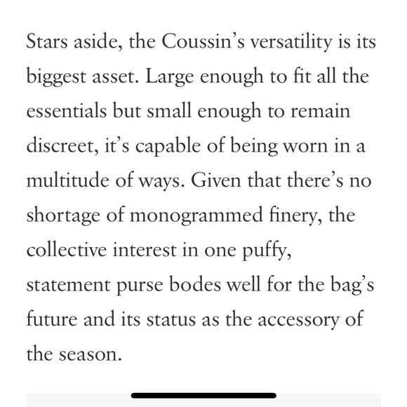 🦄 Silver Louis Vuitton Coussin PM - Picture 10 of 15